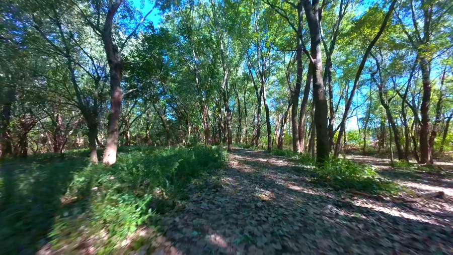 Still 2025-11-17 100017_1.56.11.jpeg